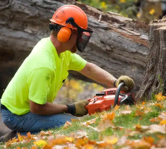 tree services Allenwood